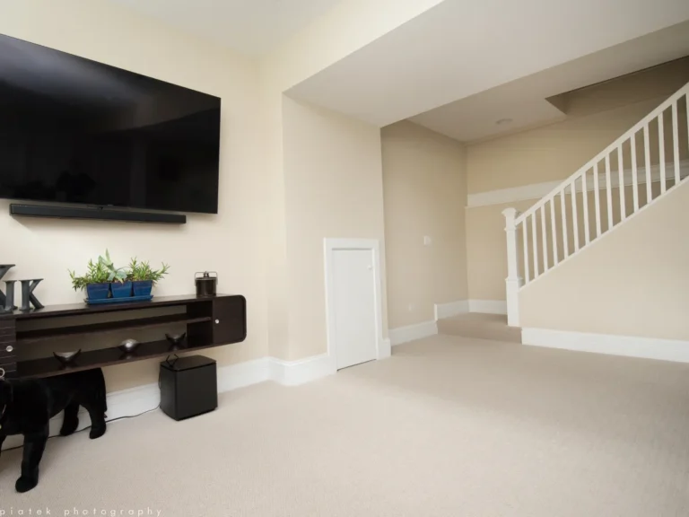 lake forest basement contractor company